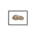 Picture of Baby grizzly bear II _GroupedProduct_Rectangle_Landscape_Mini_ _GroupedProduct_Rectangle_Landscape_Canvas_Framed_