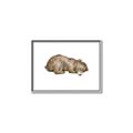 Picture of Baby grizzly bear II _GroupedProduct_Rectangle_Landscape_Mini_ _GroupedProduct_Rectangle_Landscape_Canvas_Framed_
