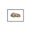 Picture of Baby grizzly bear II _GroupedProduct_Rectangle_Landscape_Mini_ _GroupedProduct_Rectangle_Landscape_Canvas_Framed_