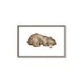 Picture of Baby grizzly bear II _GroupedProduct_Rectangle_Landscape_Mini_ _GroupedProduct_Rectangle_Landscape_Canvas_Framed_