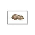 Picture of Baby grizzly bear II _GroupedProduct_Rectangle_Landscape_Mini_ _GroupedProduct_Rectangle_Landscape_Canvas_Framed_