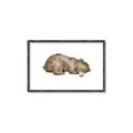 Picture of Baby grizzly bear II _GroupedProduct_Rectangle_Landscape_Mini_ _GroupedProduct_Rectangle_Landscape_Canvas_Framed_