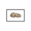 Picture of Baby grizzly bear II _GroupedProduct_Rectangle_Landscape_Mini_ _GroupedProduct_Rectangle_Landscape_Canvas_Framed_
