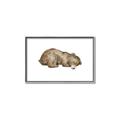 Picture of Baby grizzly bear II _GroupedProduct_Rectangle_Landscape_Mini_ _GroupedProduct_Rectangle_Landscape_Canvas_Framed_