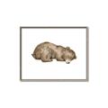 Picture of Baby grizzly bear II _GroupedProduct_Rectangle_Landscape_Mini_ _GroupedProduct_Rectangle_Landscape_Canvas_Framed_