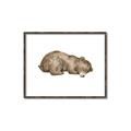 Picture of Baby grizzly bear II _GroupedProduct_Rectangle_Landscape_Mini_ _GroupedProduct_Rectangle_Landscape_Canvas_Framed_