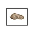 Picture of Baby grizzly bear II _GroupedProduct_Rectangle_Landscape_Mini_ _GroupedProduct_Rectangle_Landscape_Canvas_Framed_