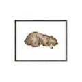 Picture of Baby grizzly bear II _GroupedProduct_Rectangle_Landscape_Mini_ _GroupedProduct_Rectangle_Landscape_Canvas_Framed_
