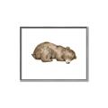 Picture of Baby grizzly bear II _GroupedProduct_Rectangle_Landscape_Mini_ _GroupedProduct_Rectangle_Landscape_Canvas_Framed_