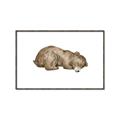 Picture of Baby grizzly bear II _GroupedProduct_Rectangle_Landscape_Mini_ _GroupedProduct_Rectangle_Landscape_Canvas_Framed_