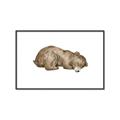 Picture of Baby grizzly bear II _GroupedProduct_Rectangle_Landscape_Mini_ _GroupedProduct_Rectangle_Landscape_Canvas_Framed_
