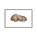 Picture of Baby grizzly bear II _GroupedProduct_Rectangle_Landscape_Mini_ _GroupedProduct_Rectangle_Landscape_Canvas_Framed_