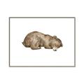 Picture of Baby grizzly bear II _GroupedProduct_Rectangle_Landscape_Mini_ _GroupedProduct_Rectangle_Landscape_Canvas_Framed_