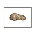 Picture of Baby grizzly bear II _GroupedProduct_Rectangle_Landscape_Mini_ _GroupedProduct_Rectangle_Landscape_Canvas_Framed_