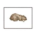 Picture of Baby grizzly bear II _GroupedProduct_Rectangle_Landscape_Mini_ _GroupedProduct_Rectangle_Landscape_Canvas_Framed_