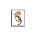 Picture of Adorable Flying Dragon I _GroupedProduct_Rectangle_Portrait_Mini_ _GroupedProduct_Rectangle_Portrait_Canvas_Framed_