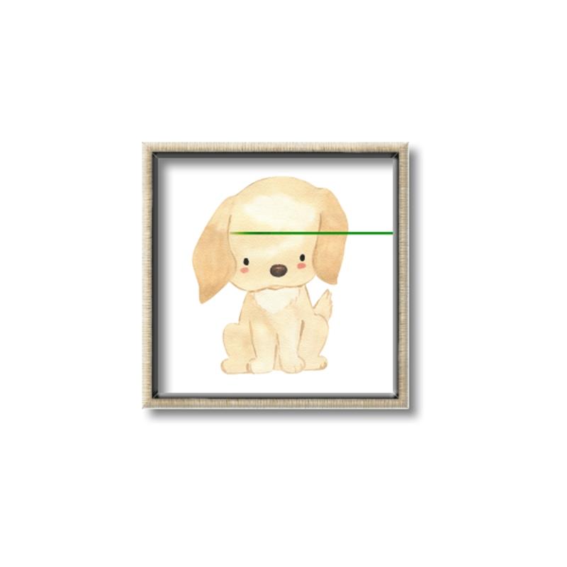 Picture of Golden retriever _GroupedProduct_Square_Mini_ _GroupedProduct_Square_Canvas_Framed_