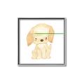 Picture of Golden retriever _GroupedProduct_Square_Mini_ _GroupedProduct_Square_Canvas_Framed_