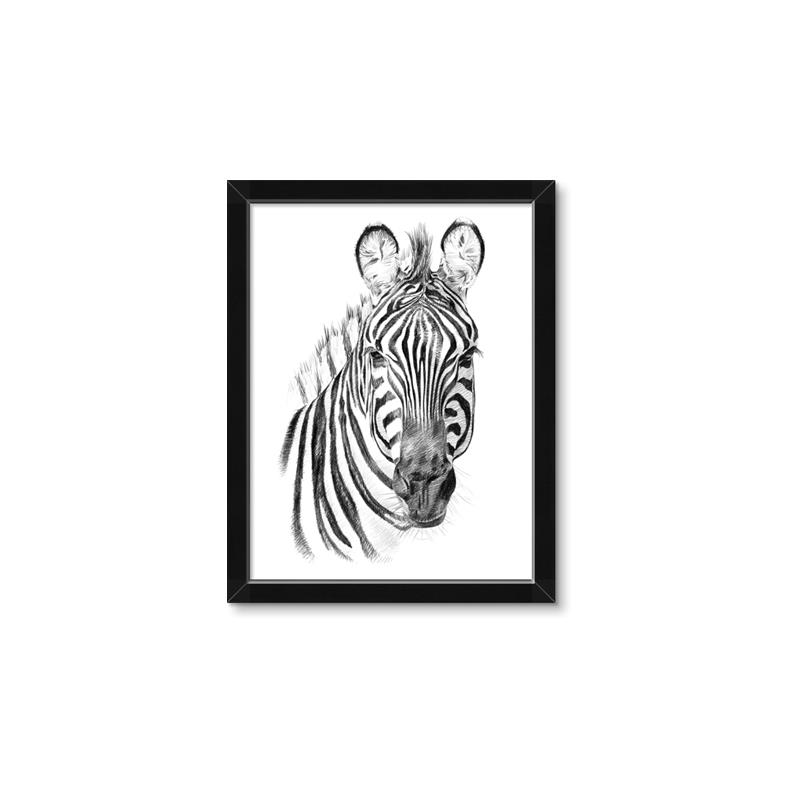 Picture of Sketched Zebras _GroupedProduct_Rectangle_Portrait_Mini_ _GroupedProduct_Rectangle_Portrait_Framed_Matted_
