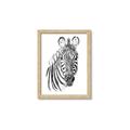Picture of Sketched Zebras _GroupedProduct_Rectangle_Portrait_Mini_ _GroupedProduct_Rectangle_Portrait_Framed_Matted_