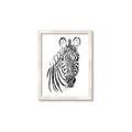 Picture of Sketched Zebras _GroupedProduct_Rectangle_Portrait_Mini_ _GroupedProduct_Rectangle_Portrait_Framed_Matted_