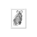 Picture of Sketched Zebras _GroupedProduct_Rectangle_Portrait_Mini_ _GroupedProduct_Rectangle_Portrait_Framed_Matted_