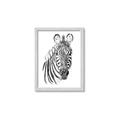 Picture of Sketched Zebras _GroupedProduct_Rectangle_Portrait_Mini_ _GroupedProduct_Rectangle_Portrait_Framed_Matted_