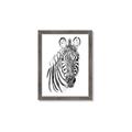 Picture of Sketched Zebras _GroupedProduct_Rectangle_Portrait_Mini_ _GroupedProduct_Rectangle_Portrait_Framed_Matted_