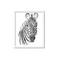 Picture of Sketched Zebras _GroupedProduct_Rectangle_Portrait_Mini_ _GroupedProduct_Rectangle_Portrait_Framed_Matted_