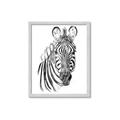 Picture of Sketched Zebras _GroupedProduct_Rectangle_Portrait_Mini_ _GroupedProduct_Rectangle_Portrait_Framed_Matted_