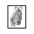 Picture of Sketched Zebras _GroupedProduct_Rectangle_Portrait_Mini_ _GroupedProduct_Rectangle_Portrait_Framed_Matted_