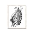 Picture of Sketched Zebras _GroupedProduct_Rectangle_Portrait_Mini_ _GroupedProduct_Rectangle_Portrait_Framed_Matted_