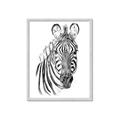 Picture of Sketched Zebras _GroupedProduct_Rectangle_Portrait_Mini_ _GroupedProduct_Rectangle_Portrait_Framed_Matted_