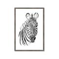 Picture of Sketched Zebras _GroupedProduct_Rectangle_Portrait_Mini_ _GroupedProduct_Rectangle_Portrait_Framed_Matted_