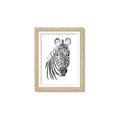 Picture of Sketched Zebras _GroupedProduct_Rectangle_Portrait_Mini_ _GroupedProduct_Rectangle_Portrait_Framed_Matted_