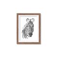 Picture of Sketched Zebras _GroupedProduct_Rectangle_Portrait_Mini_ _GroupedProduct_Rectangle_Portrait_Framed_Matted_