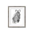 Picture of Sketched Zebras _GroupedProduct_Rectangle_Portrait_Mini_ _GroupedProduct_Rectangle_Portrait_Framed_Matted_