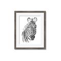 Picture of Sketched Zebras _GroupedProduct_Rectangle_Portrait_Mini_ _GroupedProduct_Rectangle_Portrait_Framed_Matted_