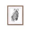 Picture of Sketched Zebras _GroupedProduct_Rectangle_Portrait_Mini_ _GroupedProduct_Rectangle_Portrait_Framed_Matted_