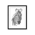 Picture of Sketched Zebras _GroupedProduct_Rectangle_Portrait_Mini_ _GroupedProduct_Rectangle_Portrait_Framed_Matted_