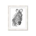 Picture of Sketched Zebras _GroupedProduct_Rectangle_Portrait_Mini_ _GroupedProduct_Rectangle_Portrait_Framed_Matted_