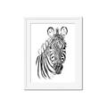 Picture of Sketched Zebras _GroupedProduct_Rectangle_Portrait_Mini_ _GroupedProduct_Rectangle_Portrait_Framed_Matted_