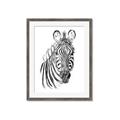 Picture of Sketched Zebras _GroupedProduct_Rectangle_Portrait_Mini_ _GroupedProduct_Rectangle_Portrait_Framed_Matted_