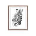 Picture of Sketched Zebras _GroupedProduct_Rectangle_Portrait_Mini_ _GroupedProduct_Rectangle_Portrait_Framed_Matted_