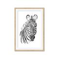 Picture of Sketched Zebras _GroupedProduct_Rectangle_Portrait_Mini_ _GroupedProduct_Rectangle_Portrait_Framed_Matted_