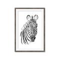Picture of Sketched Zebras _GroupedProduct_Rectangle_Portrait_Mini_ _GroupedProduct_Rectangle_Portrait_Framed_Matted_