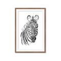 Picture of Sketched Zebras _GroupedProduct_Rectangle_Portrait_Mini_ _GroupedProduct_Rectangle_Portrait_Framed_Matted_
