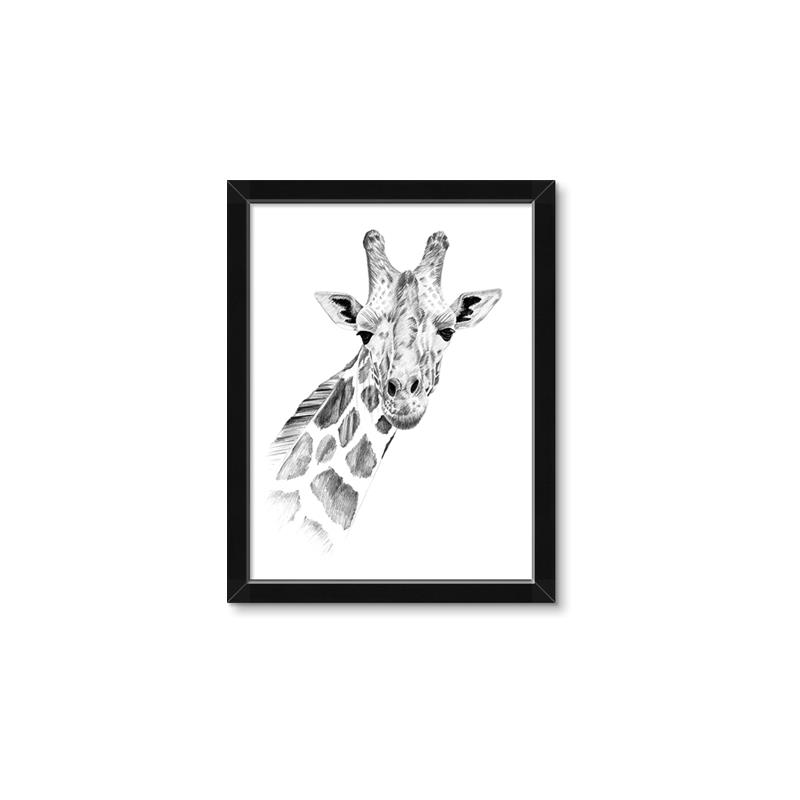 Picture of Sketched Giraffe _GroupedProduct_Rectangle_Portrait_Mini_ _GroupedProduct_Rectangle_Portrait_Framed_Matted_
