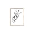 Picture of Sketched Giraffe _GroupedProduct_Rectangle_Portrait_Mini_ _GroupedProduct_Rectangle_Portrait_Framed_Matted_