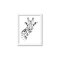 Picture of Sketched Giraffe _GroupedProduct_Rectangle_Portrait_Mini_ _GroupedProduct_Rectangle_Portrait_Framed_Matted_